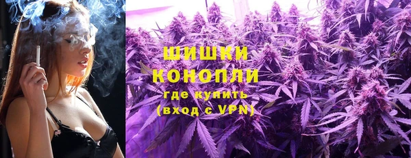 дживик Балахна