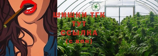 дживик Балахна